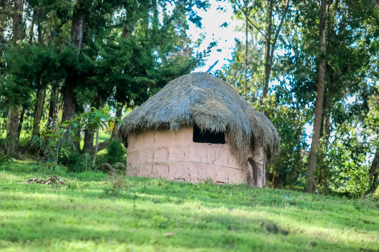 Tamasha la Kitamaduni huko Kinshasa